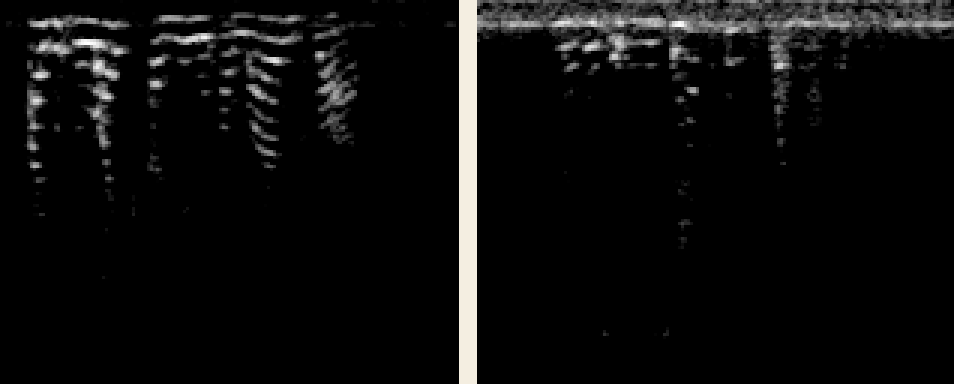 Real mel-spectrograms from the project, an angry-domain clip beside a sad-domain clip